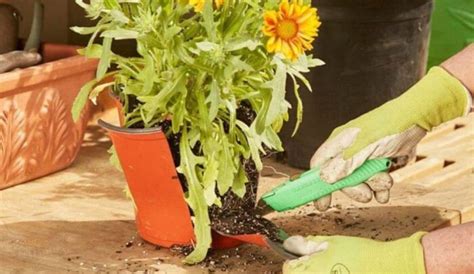 25 genius gardening hacks you ll be glad you know page 22 12 facts of just about everything