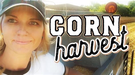 corn harvest 2019 this farm wife attempts to drive combine youtube