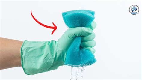 el truco para desinfectar la esponja de los trastes sin utilizar cloro enséñame de ciencia