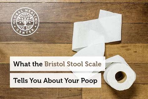 What The Bristol Stool Scale Tells You About Your Poop Robert S Morgan