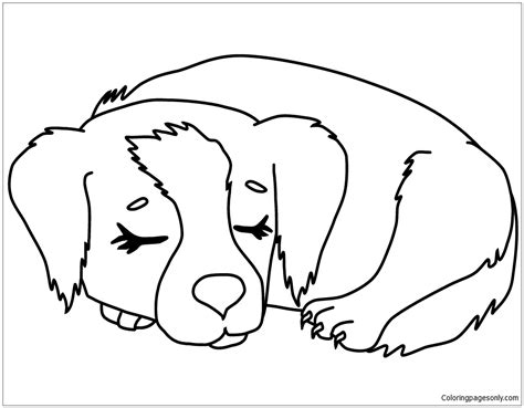 Outstanding Cute Puppy Coloring Page Free Printable Coloring Pages