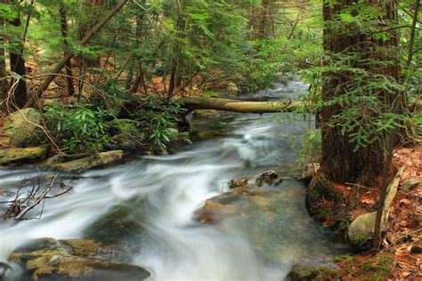 Free Images Forest Rock Waterfall Creek Wilderness Hiking River