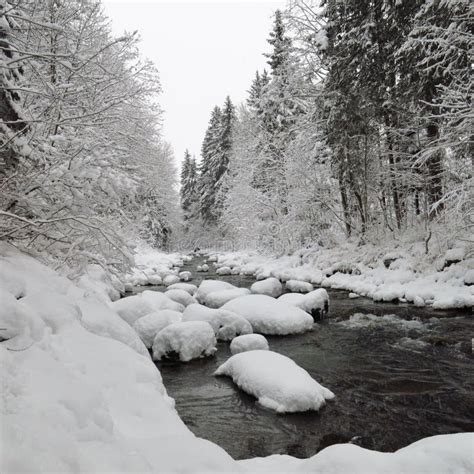 Winter Scene Near Gstaad River Saane Stock Photos Free And Royalty Free