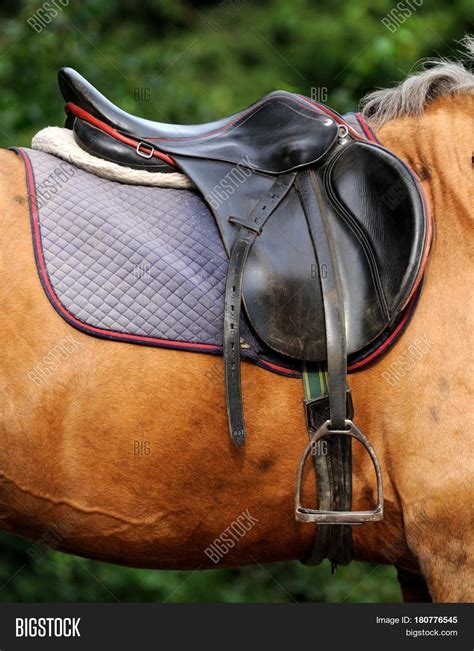 Close Horse Saddle Image And Photo Free Trial Bigstock