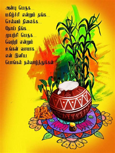 Top Tamil Pongal Wishes 2023 For Whatsapp