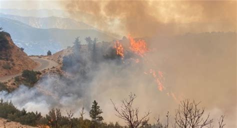 Bobcat Fire Grows To Nearly 24000 Acres Continues Moving Northeast