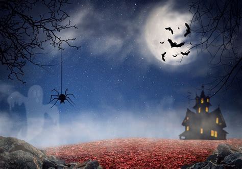 Halloween Backdrop Premade Backdrop Witch Backdrop Etsy