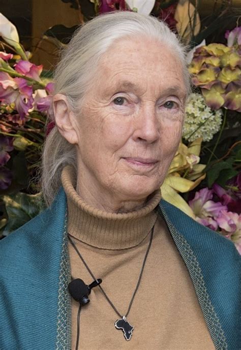 Jane Goodall Wikipedia