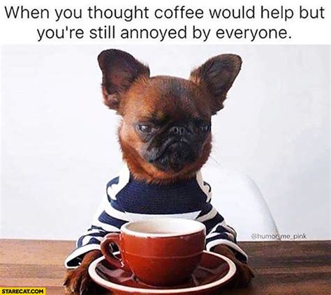 When You Thought Coffee Would Help But Youre Still Annoyed By Everyone