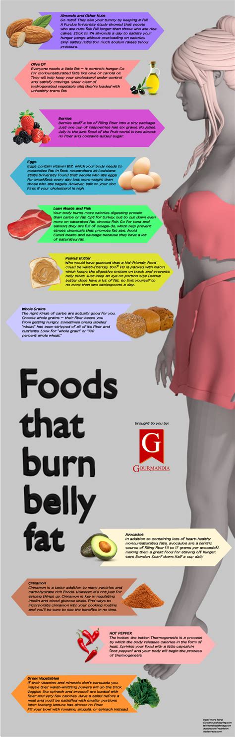 Foods That Burn Belly Fat Visual Ly