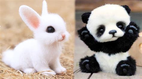 10 Most Cutest Baby Animals Youtube