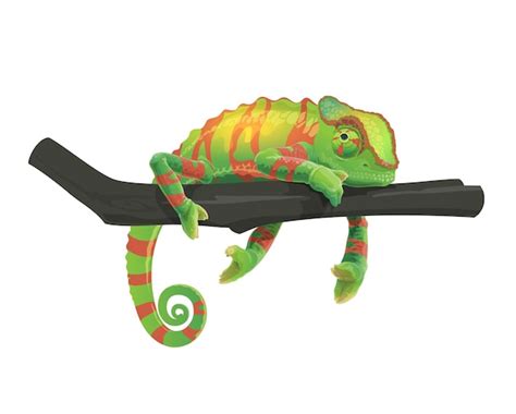 Premium Vector Green Chameleon Lizard Lying On Tree Branch
