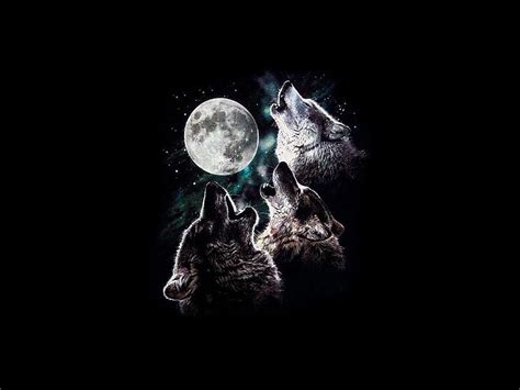 Hd Wallpaper 3 Wolf Moon Howling Moon Night Sky Stars Three Trio