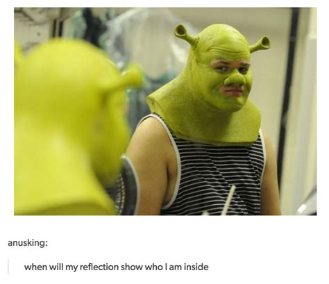 Literally Just 24 Shrek Posts That No One Ever Asked For Shrek Memes