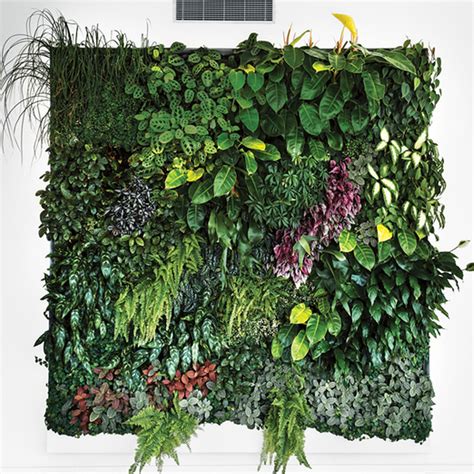 The Benefits Of Living Green Walls Kleencut Solutions