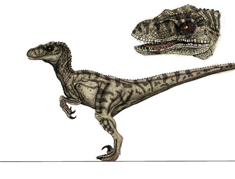 An Image Of Two Dinosaurs That Are Side By Side