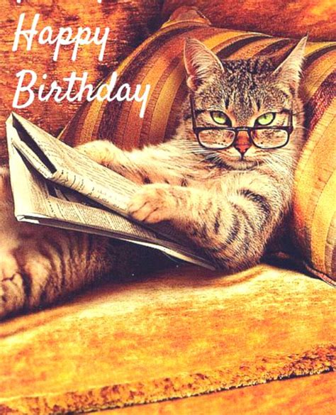 Tips For Sending Unique Happy Birthday Wishes With Cats