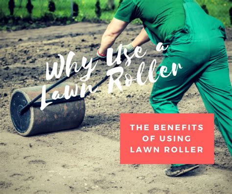 How to build a lawn roller. Why Use A Lawn Roller? | Lawn Roller Buyer's Guide