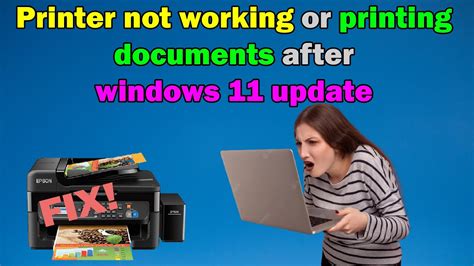 Fix Printer Not Working Or Printing Documents After Windows Update