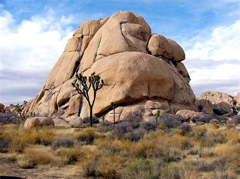 Yucca Valley Ca Joshua Tree National Park Photo Picture Image