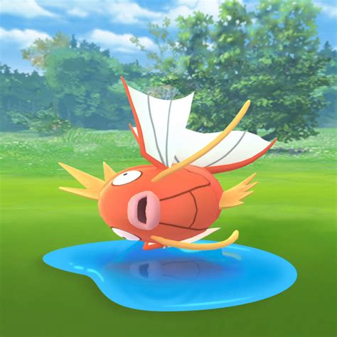 Video Niantic Shares Clip Of Magikarp Splashing In Puddle Ahead Of