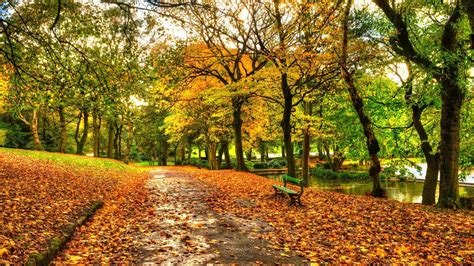 Beautiful Scenery Autumn Dry Leaves Green Bench Lake Background Hd