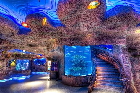 Inside An Aquarium Trip Room Amazing Aquariums Underwater Theme