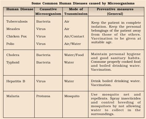 Ncert Class 8 Science Chapter 2 Microorganisms Friend And Foe Kitabcd