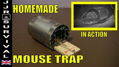 Homemade Humane Mouse Trap Youtube