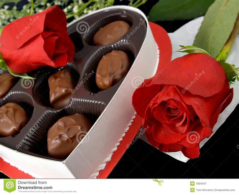 Hd Pics Zone Valentine Candy Roses