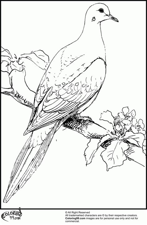 White Dove Coloring Page Coloring Home