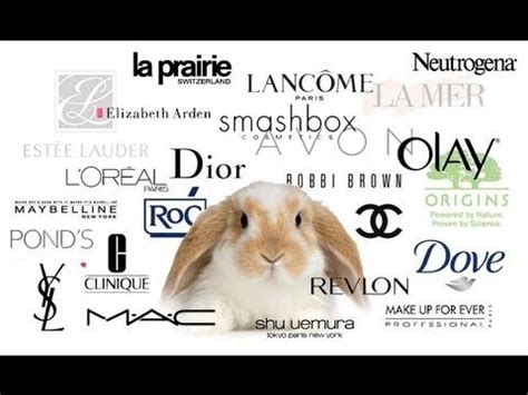 … shiseido owns licenses for hermes, narciso rodriguez, and dolce &amp, gabbana. ANIMAL TESTING - MAKEUP COMPANIES AND THE EU BAN ...