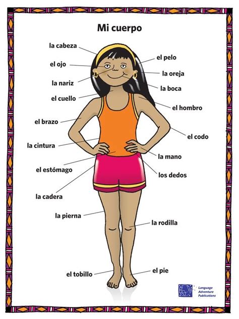 Parts Of The Body Spanish Iii Diagram Quizlet