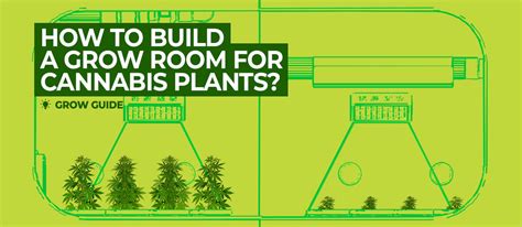 How To Build A Grow Room For Cannabis Plants Part 1 Growdiaries