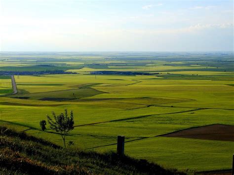 Ejemplo De Meseta La Tierra De Campos Es Al Mismo Tiempo Un Buen