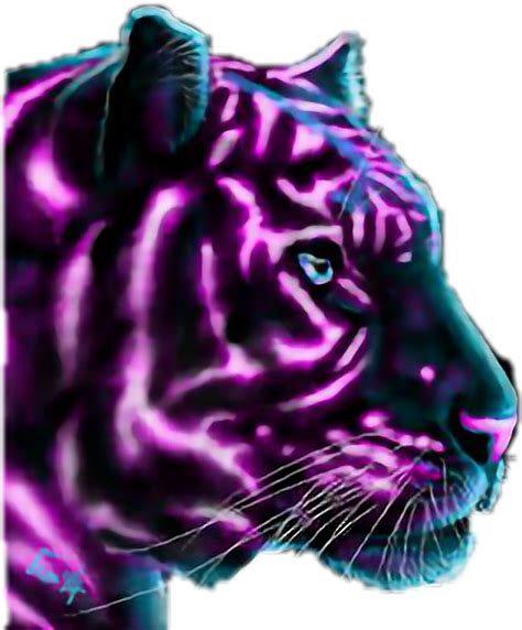 Purple Panther Freetoedit Sticker By Richykingvida