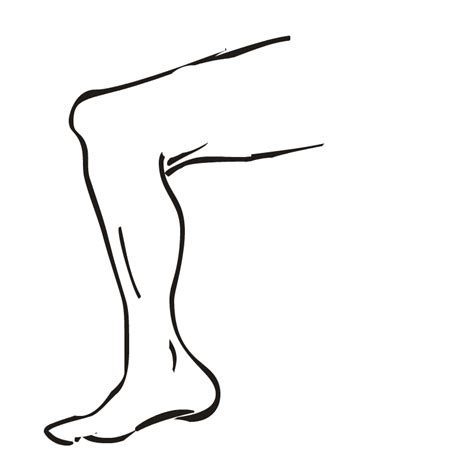 Lower leg clipart - Clipground
