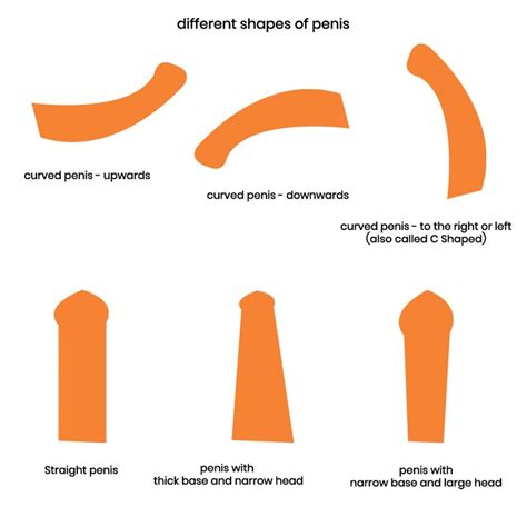 Help Why Has My Penis Developed A Curve