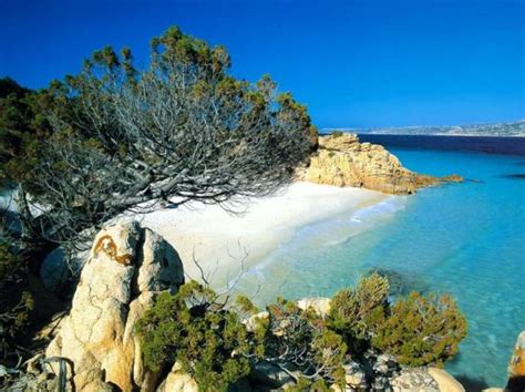 Le maree holiday apartments è un accogliente residence situato sull'isola principale dell'arcipelago de la maddalena, sardegna, non lontano dal centro e nelle immediate vicinanze del ponte per caprera. Cosa fare e cosa vedere all'Isola della Maddalena