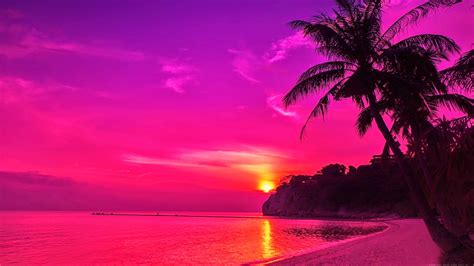 Free Download Beachsunsetwallpaper 16001000 Hot Pink Pinterest