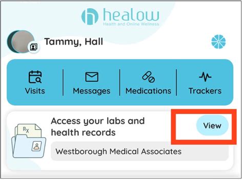 Where Can I View My Past Appointments On The Healow App Help Center