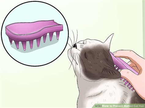 By mychelle blake cat behavior consultant. 4 Ways to Prevent Matted Cat Hair - wikiHow