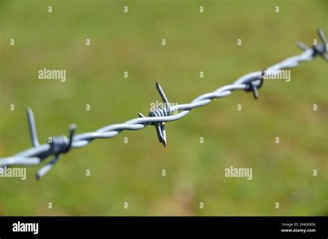 Metal Barbed Wire Fence With Sharp Spikes Stock Photo Alamy