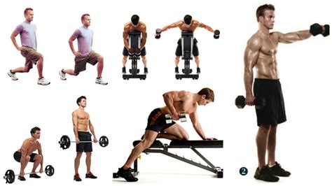 The Best Free Weight Exercises Learn About The Free Exercises