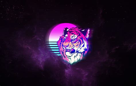 Space Tiger Wallpapers Top Free Space Tiger Backgrounds Wallpaperaccess