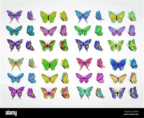 Vector Set Of Colored Butterflies Stock Vector Image And Art Alamy