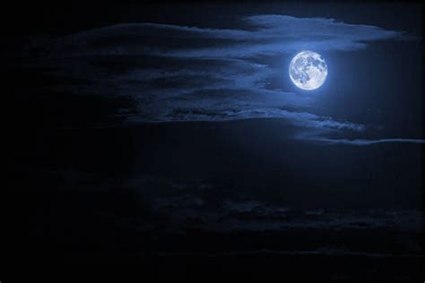 297600 Night Sky Moon Stock Photos Pictures And Royalty Free Images