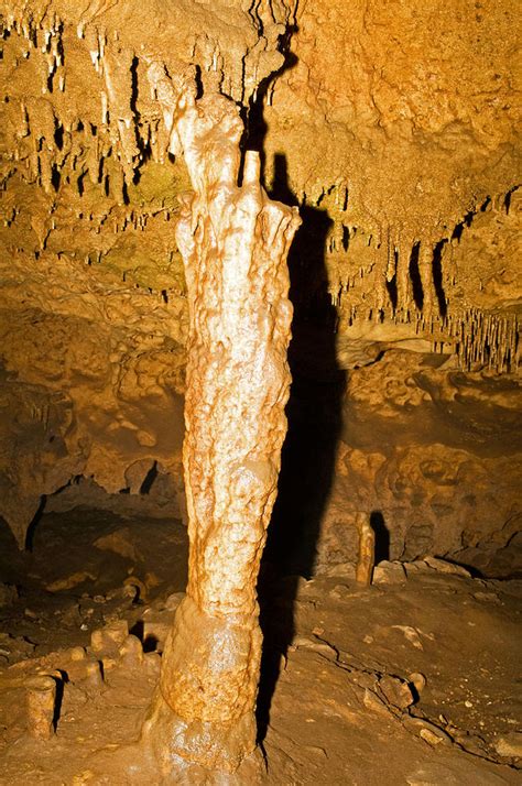 Limestone Column In Florida Caverns Photograph By Millard H Sharp