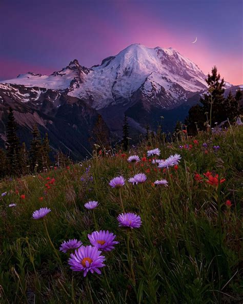 Mount Rainier National Park In Washington In 2020 Mount Rainier