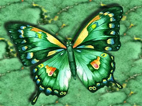 Gallery Wallpaper Green Butterfly Wallpapersafari